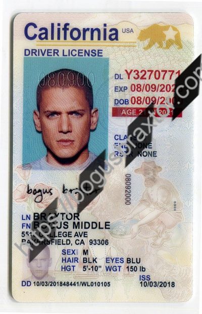 Bogus Braxtor Fake ID - Scannable Fake ID Cards