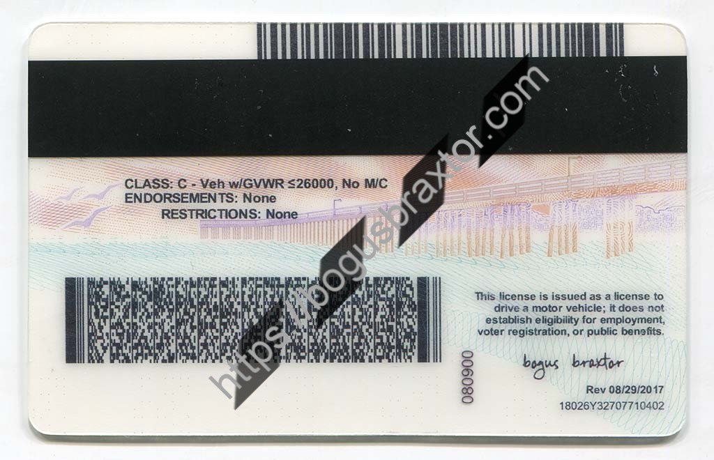 California Vertical Fake ID - Bogusbraxtor