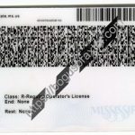 under-21-mississippi-scannable-fake-id-card-backside.jpeg