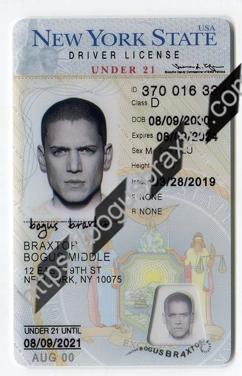New York Vertical Fake ID - Bogusbraxtor
