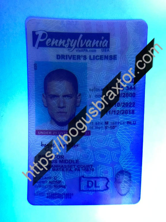 Pennsylvania Vertical Fake ID - Bogusbraxtor