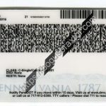 under-21-pennsylvania-scannable-fake-id-card-backside.jpeg