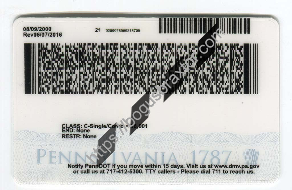 Pennsylvania Vertical Fake ID Bogusbraxtor