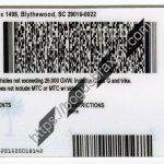 under-21-south-carolina-scannable-fake-id-card-backside.jpeg