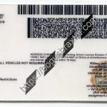 under-21-utah-scannable-fake-id-card-backside.jpeg