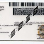 utah-scannable-fake-id-card-backside.jpeg