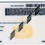 vermont-scannable-fake-id-card-backside.jpeg