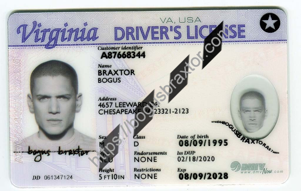 Fake Id In Virginia