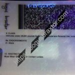 washington-dc-fake-id-card-backside-ultra-violet-design.jpeg