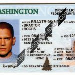 washington-fake-id.jpeg