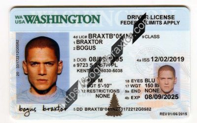 Washington Fake ID - Bogusbraxtor