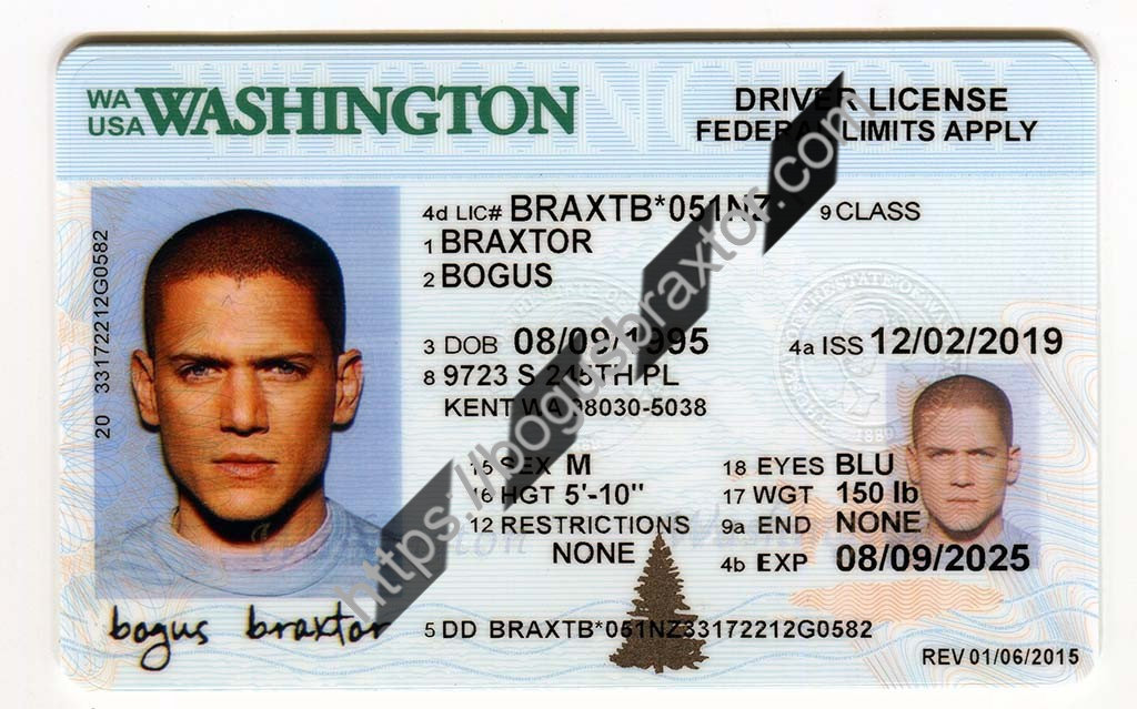 Real ID Washington – ID Options for Washingtonians