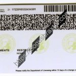 washington-scannable-fake-id-card-backside.jpeg